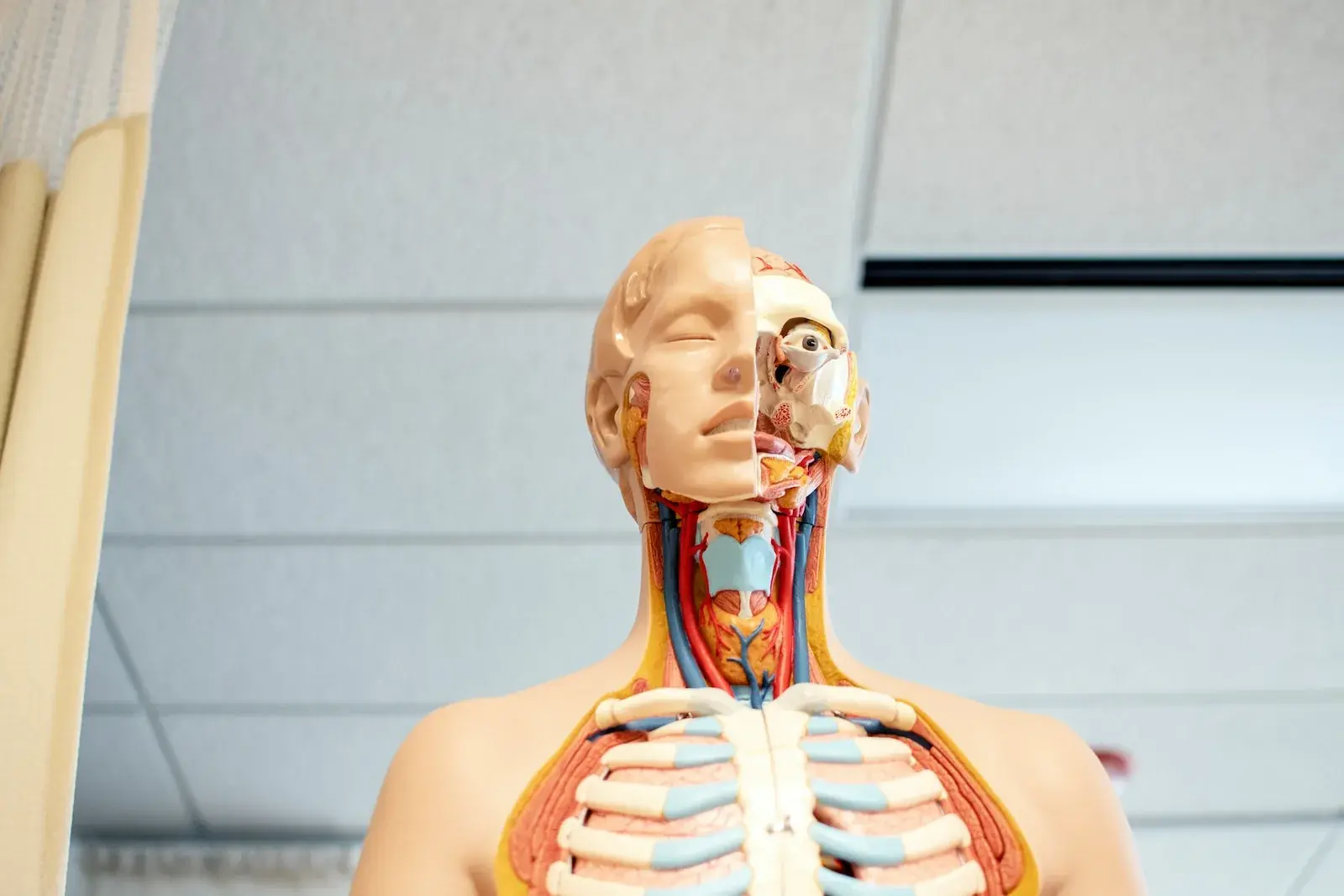 Biotechnologie als Schnittstelle von Technik und Biologie