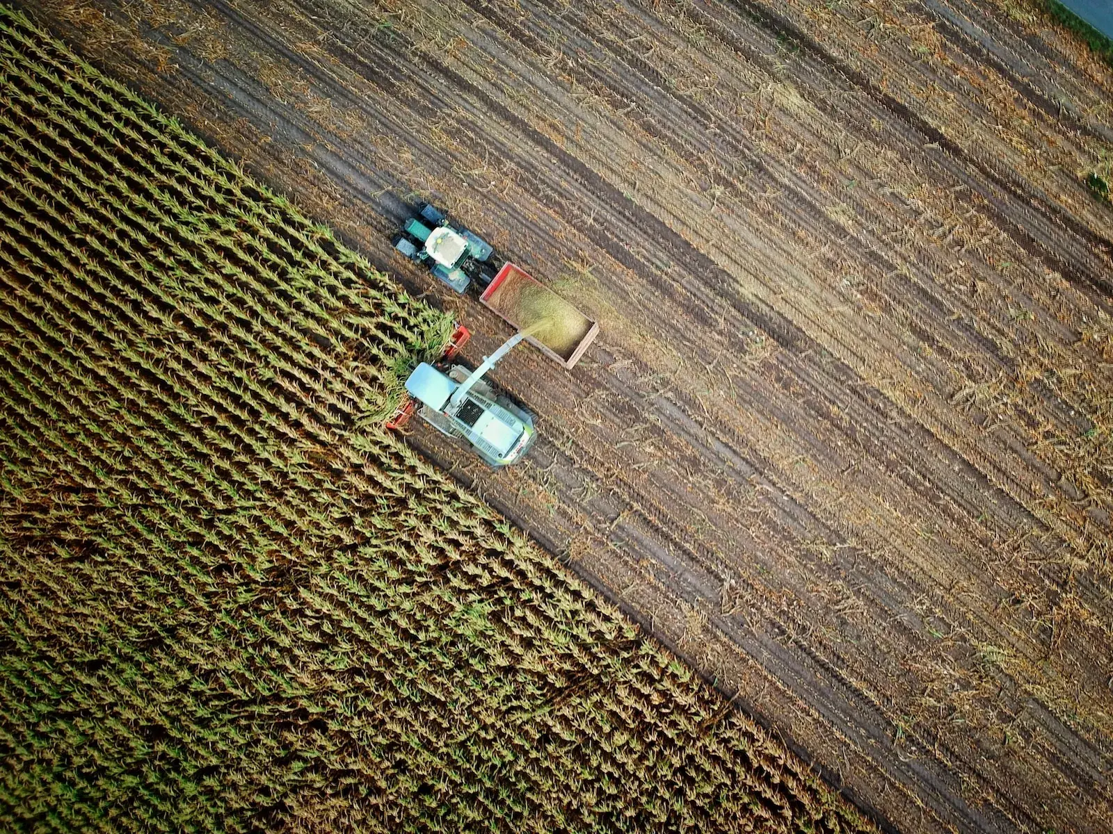 Apps in der modernen Landwirtschaft